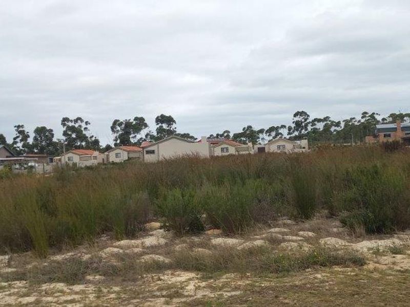 Vacant Land Residential For Sale In Albertinia - Photo 3