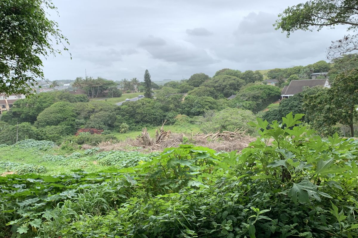 Land with distant sea views - Photo 4