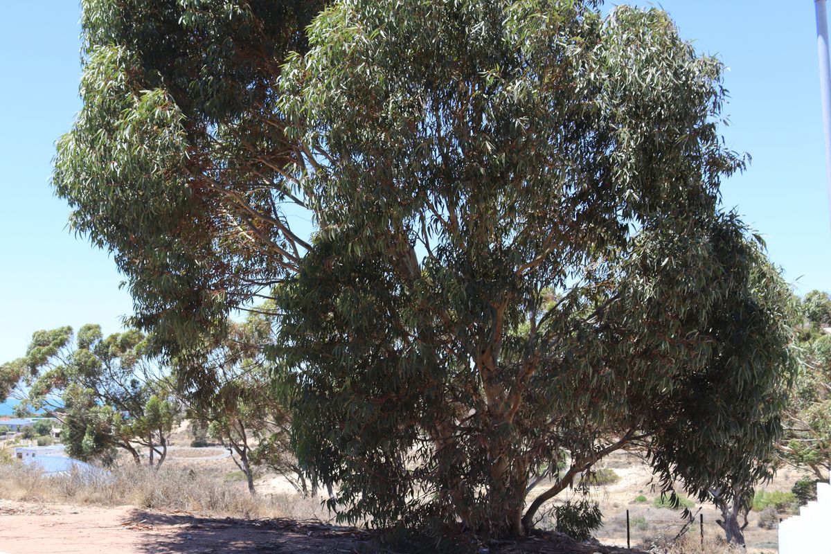 Vacant land for Sale in Britannica Heights, St Helena bay - Photo 4