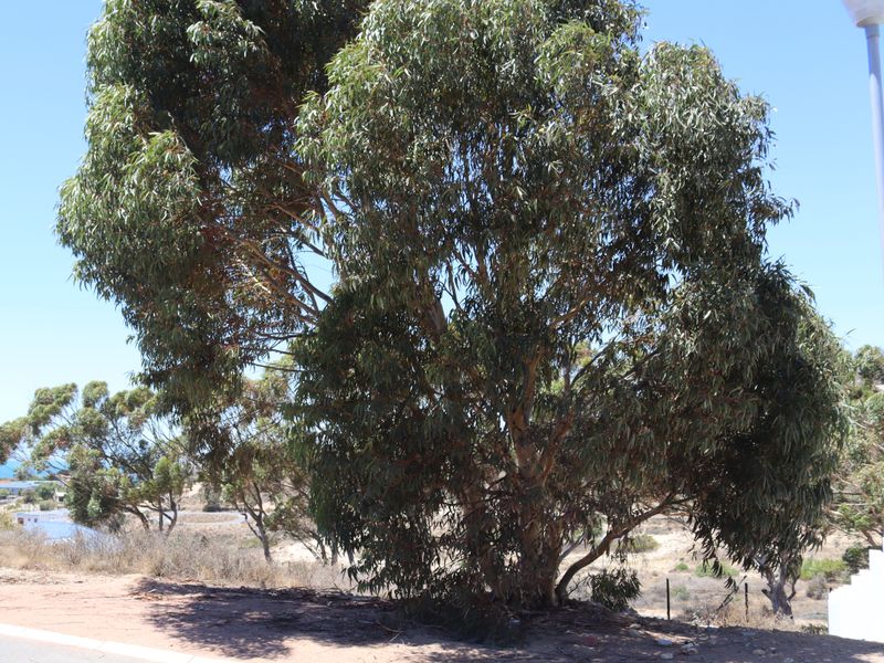 Vacant land for Sale in Britannica Heights, St Helena bay - Photo 4