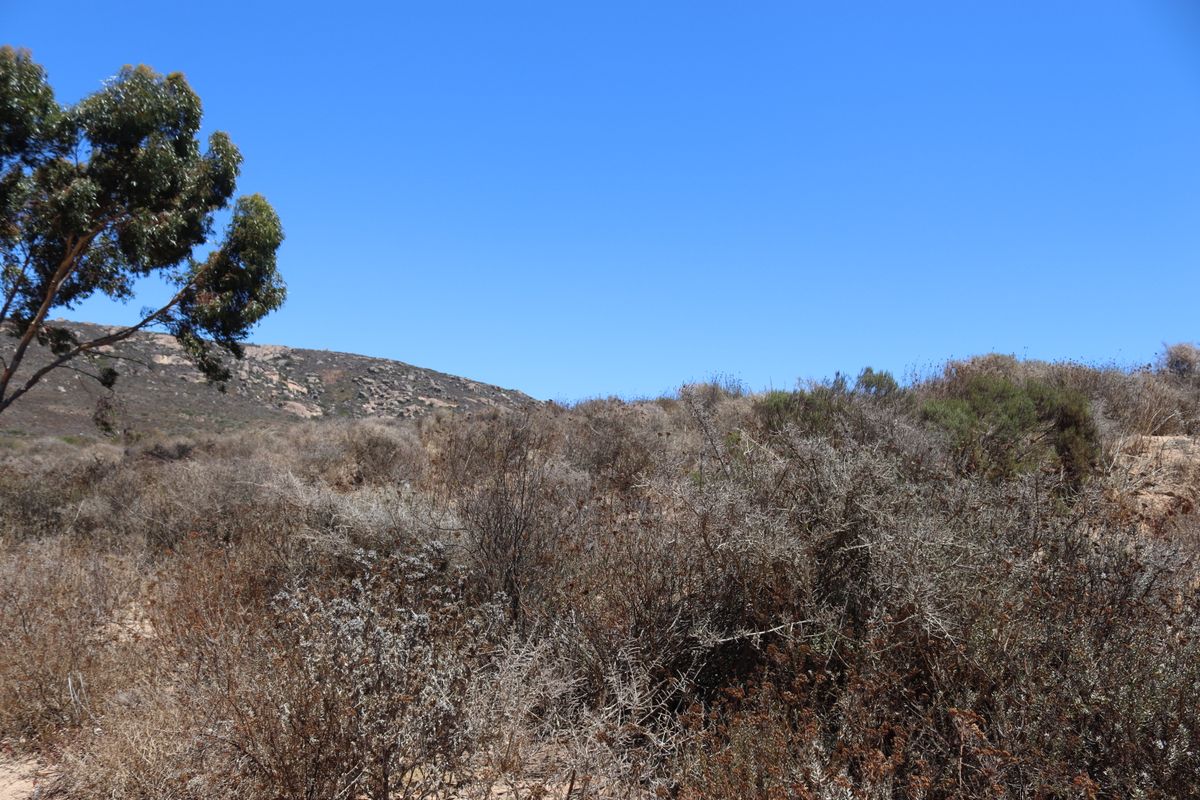 Vacant land for Sale in Britannica Heights, St Helena bay - Photo 5