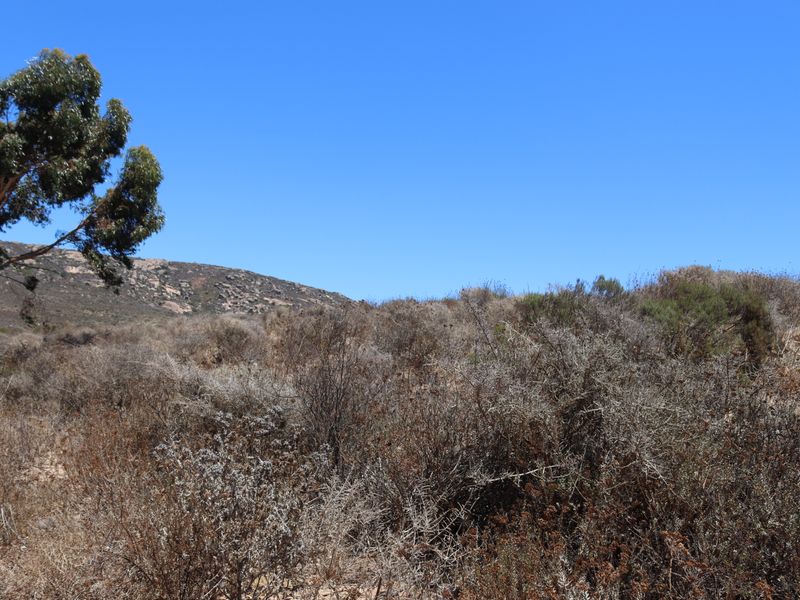 Vacant land for Sale in Britannica Heights, St Helena bay - Photo 5