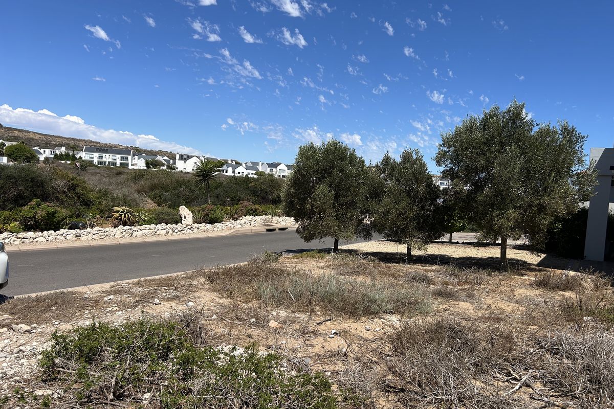 Vacant Land Residential For Sale In Langebaan - Photo 3
