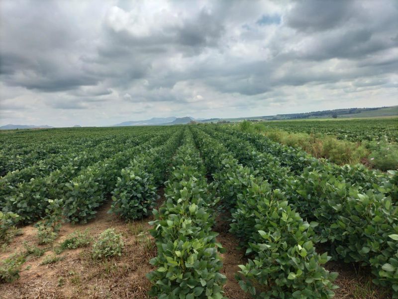 High potential mixed Farm in Bethlehem - Photo 8