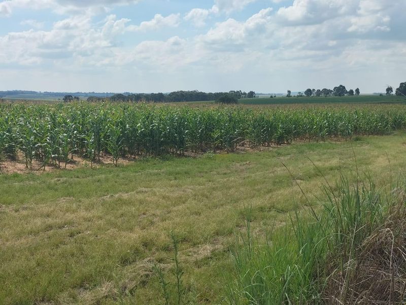 High potential mixed Farm in Bethlehem - Photo 7