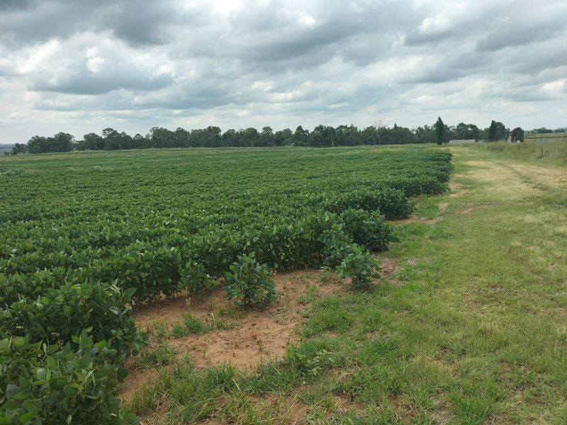 High potential mixed Farm in Bethlehem - Photo 6