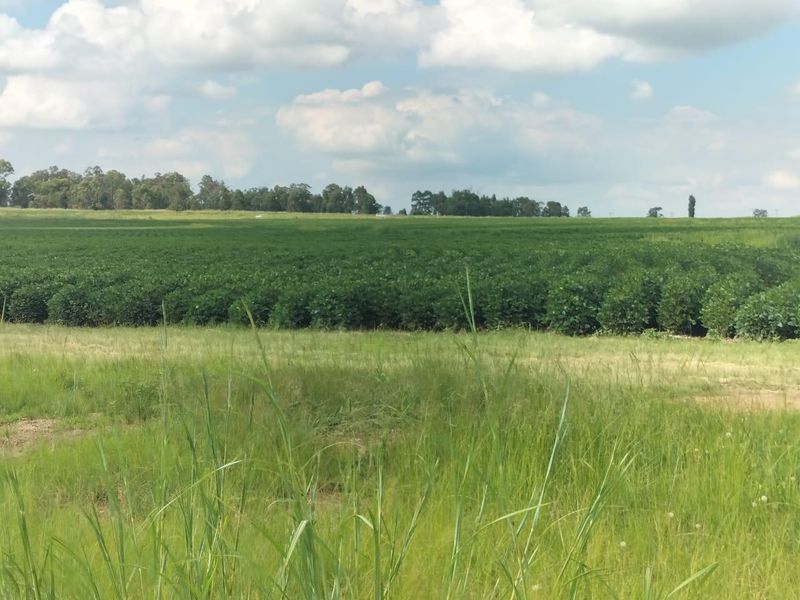 High potential mixed Farm in Bethlehem - Photo 1