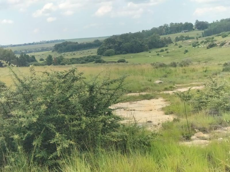 High potential mixed Farm in Bethlehem - Photo 10