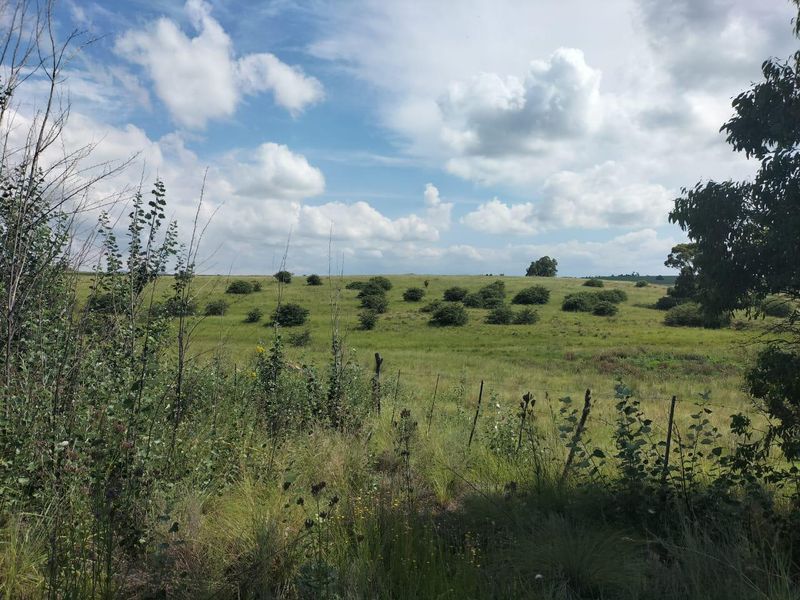 High potential mixed Farm in Bethlehem - Photo 9