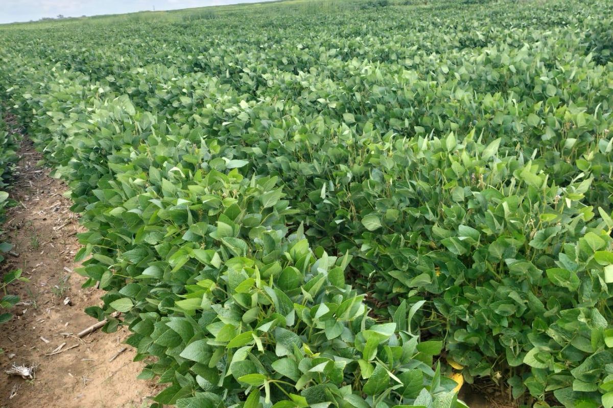 High potential mixed Farm in Bethlehem - Photo 4