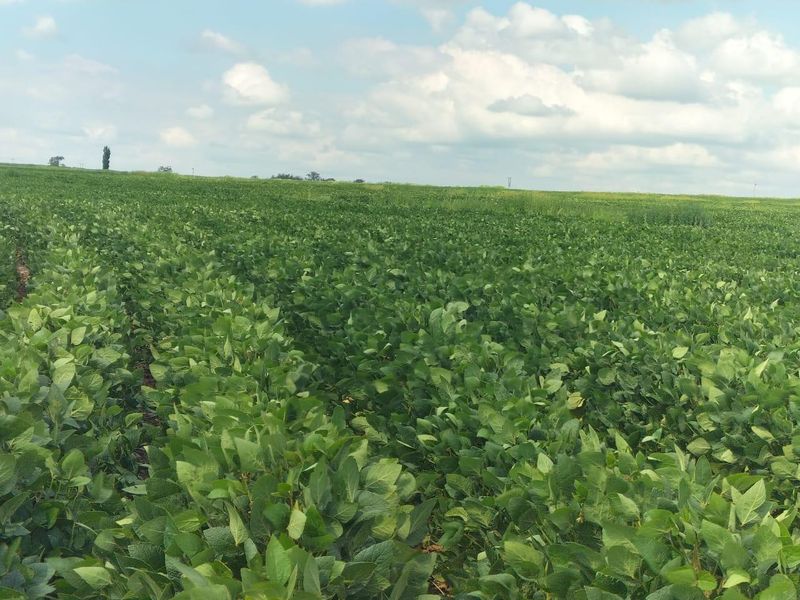 High potential mixed Farm in Bethlehem - Photo 2