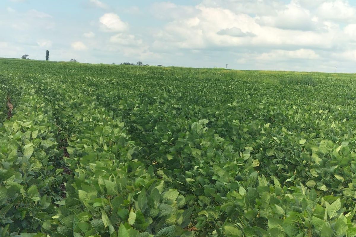 High potential mixed Farm in Bethlehem - Photo 2
