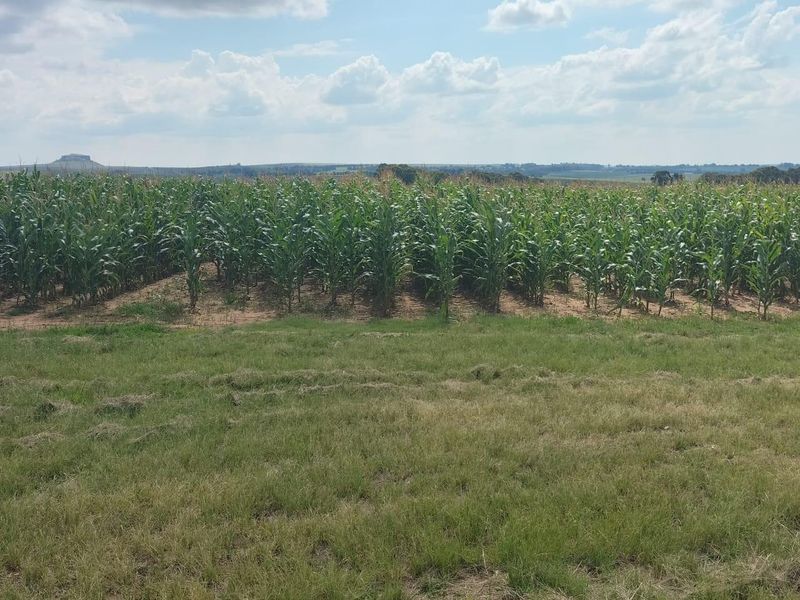 High potential mixed Farm in Bethlehem - Photo 3
