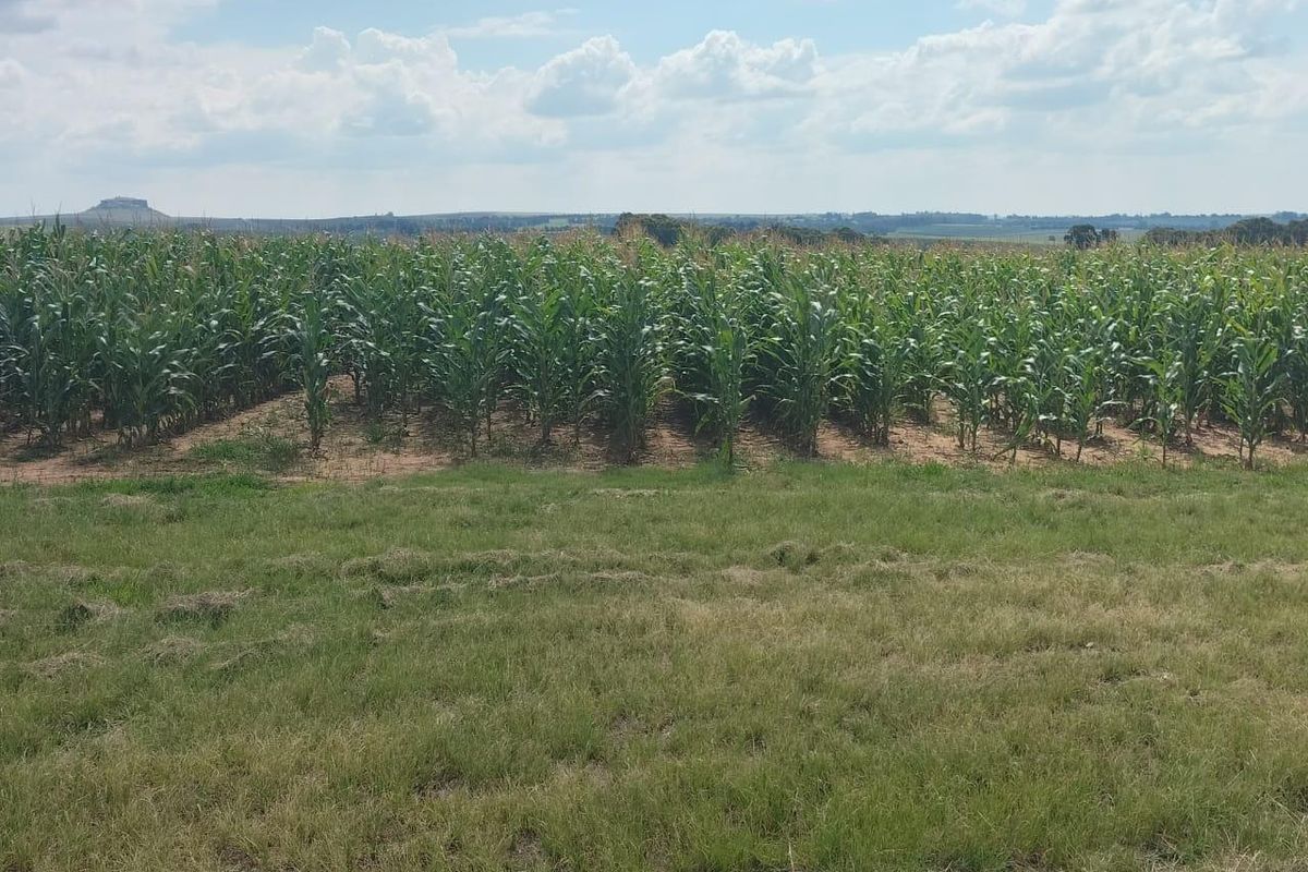 High potential mixed Farm in Bethlehem - Photo 3