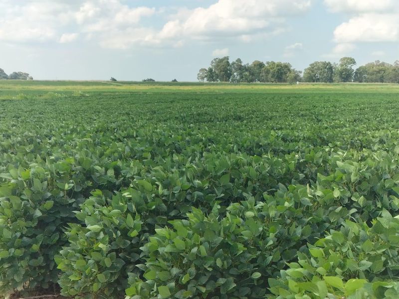 High potential mixed Farm in Bethlehem - Photo 5