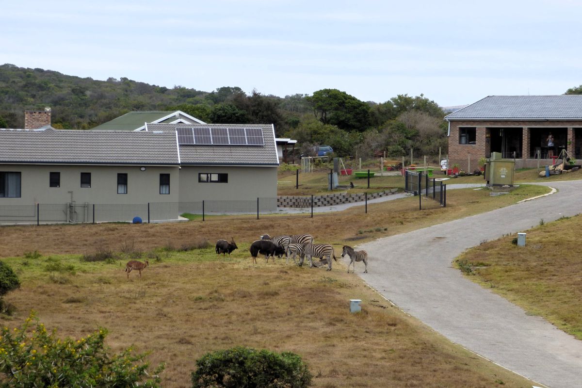 An elevated view of the rear exterior of the property, featuring a tiled roof with solar panels, perimeter fencing, and a gravel driveway.