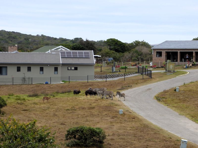 An elevated view of the rear exterior of the property, featuring a tiled roof with solar panels, perimeter fencing, and a gravel driveway.