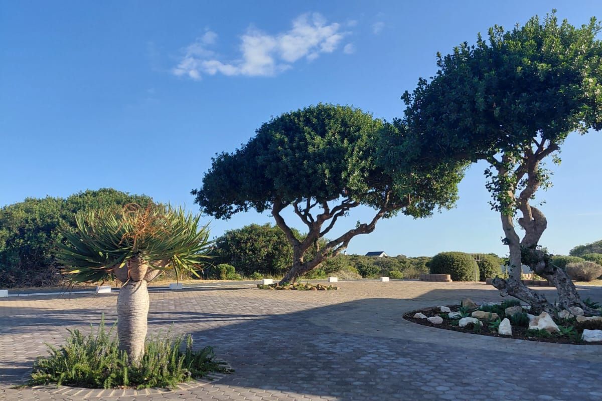 Luxury Country Living at the coast with Exceptional Views - Photo 3