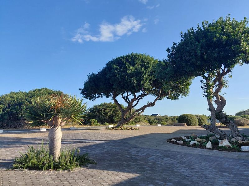 Luxury Country Living at the coast with Exceptional Views - Photo 3