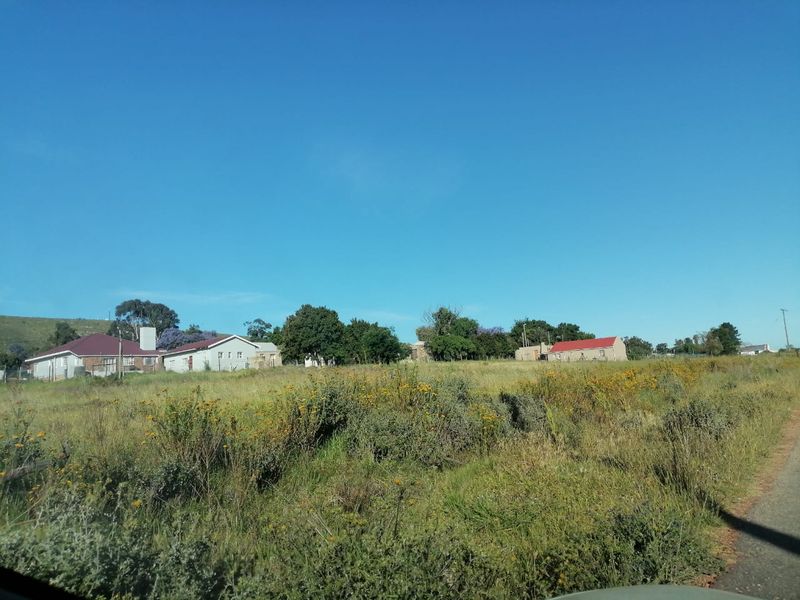 A view of a vacant residential plot featuring natural grassland with surrounding neighborhood houses in the background.