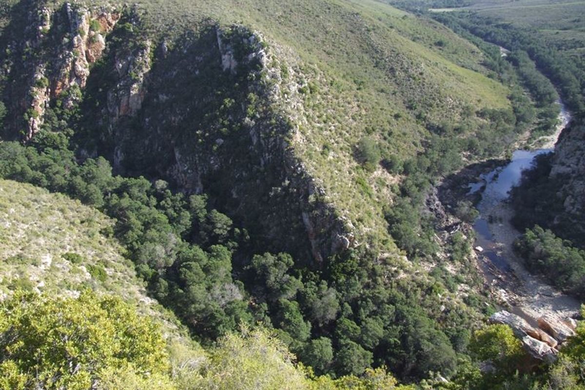 A scenic elevated view of a natural river valley featuring rocky cliffs and dense indigenous vegetation.