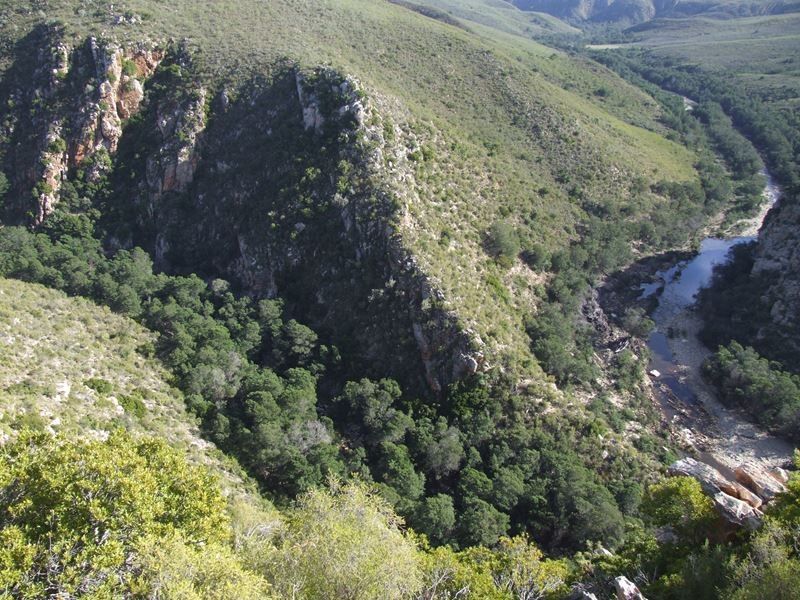A scenic elevated view of a natural river valley featuring rocky cliffs and dense indigenous vegetation.
