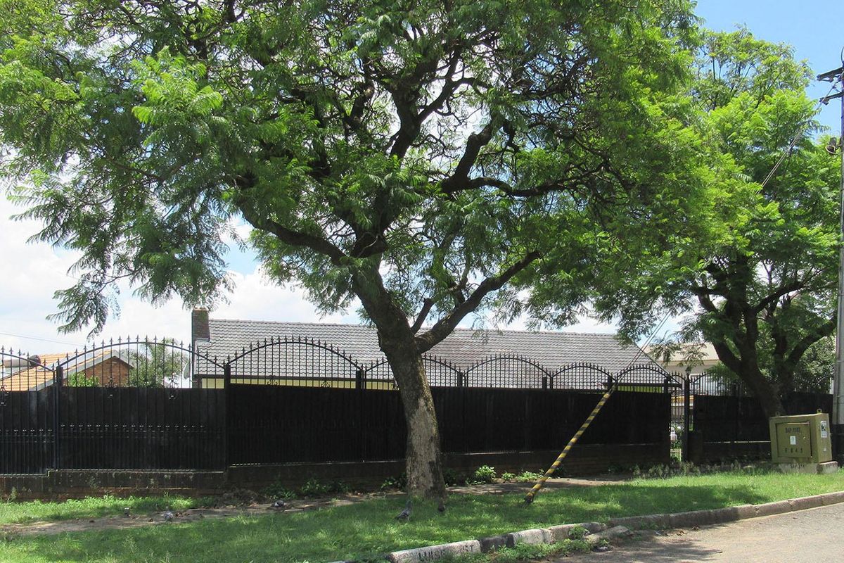 Space to Live, Income to Earn — A Home That Works for You - Photo 4