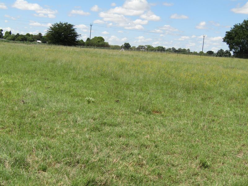 4.28 Ha Full Title Vacant Land In Bainsvlei - Photo 10