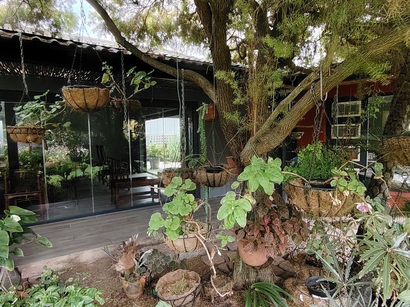 A Home of Possibility, Privacy and Genuine Value - Photo 2