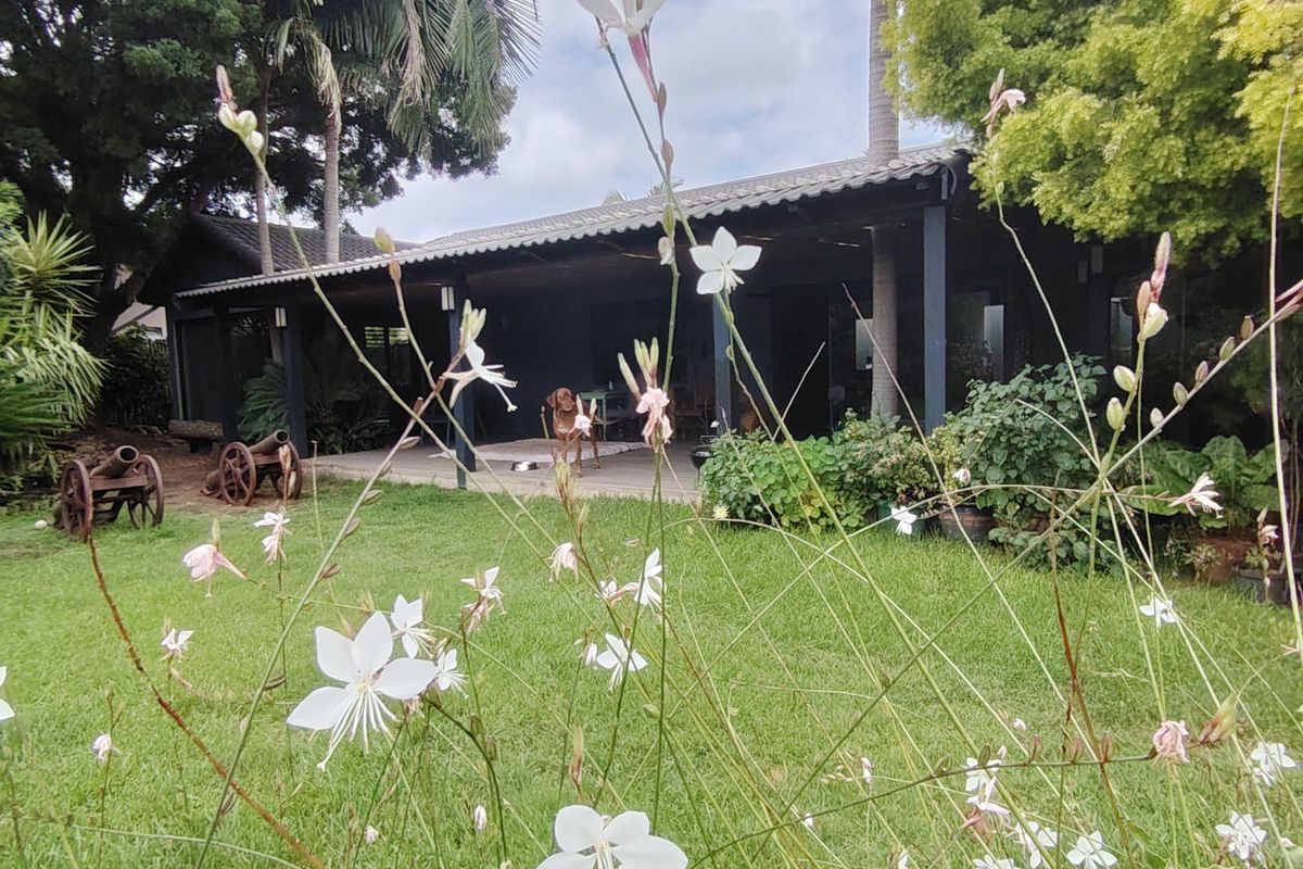 A Home of Possibility, Privacy and Genuine Value - Photo 3