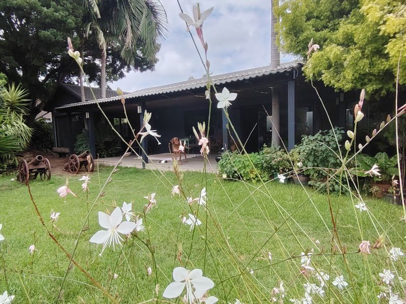 A Home of Possibility, Privacy and Genuine Value - Photo 3