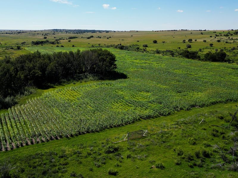 Uitstekende 2 312 ha Bees- En Wildboerdery-Eenheid Te Koop – Winburg / Ventersburg - Photo 7