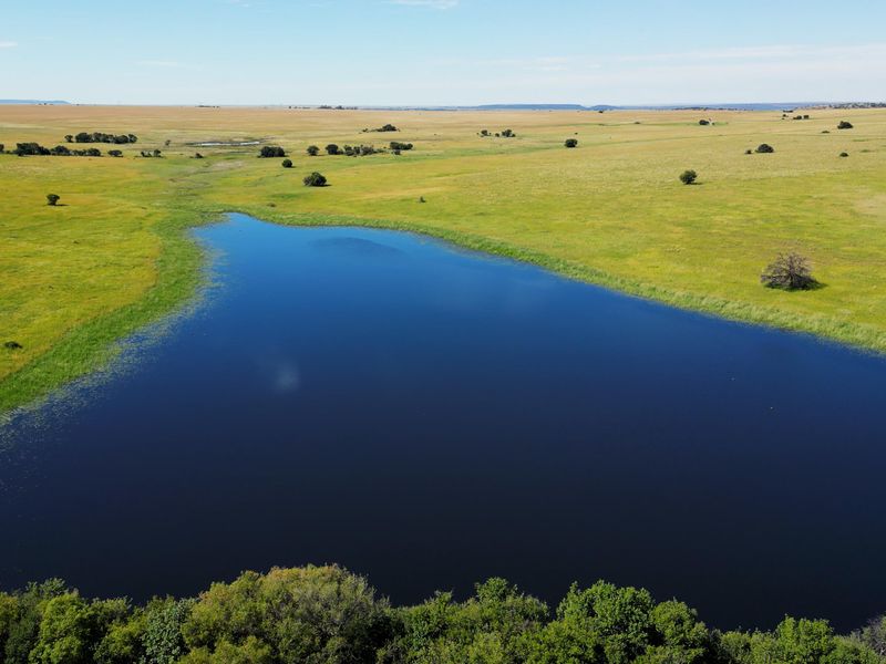 Uitstekende 2 312 ha Bees- En Wildboerdery-Eenheid Te Koop – Winburg / Ventersburg - Photo 4