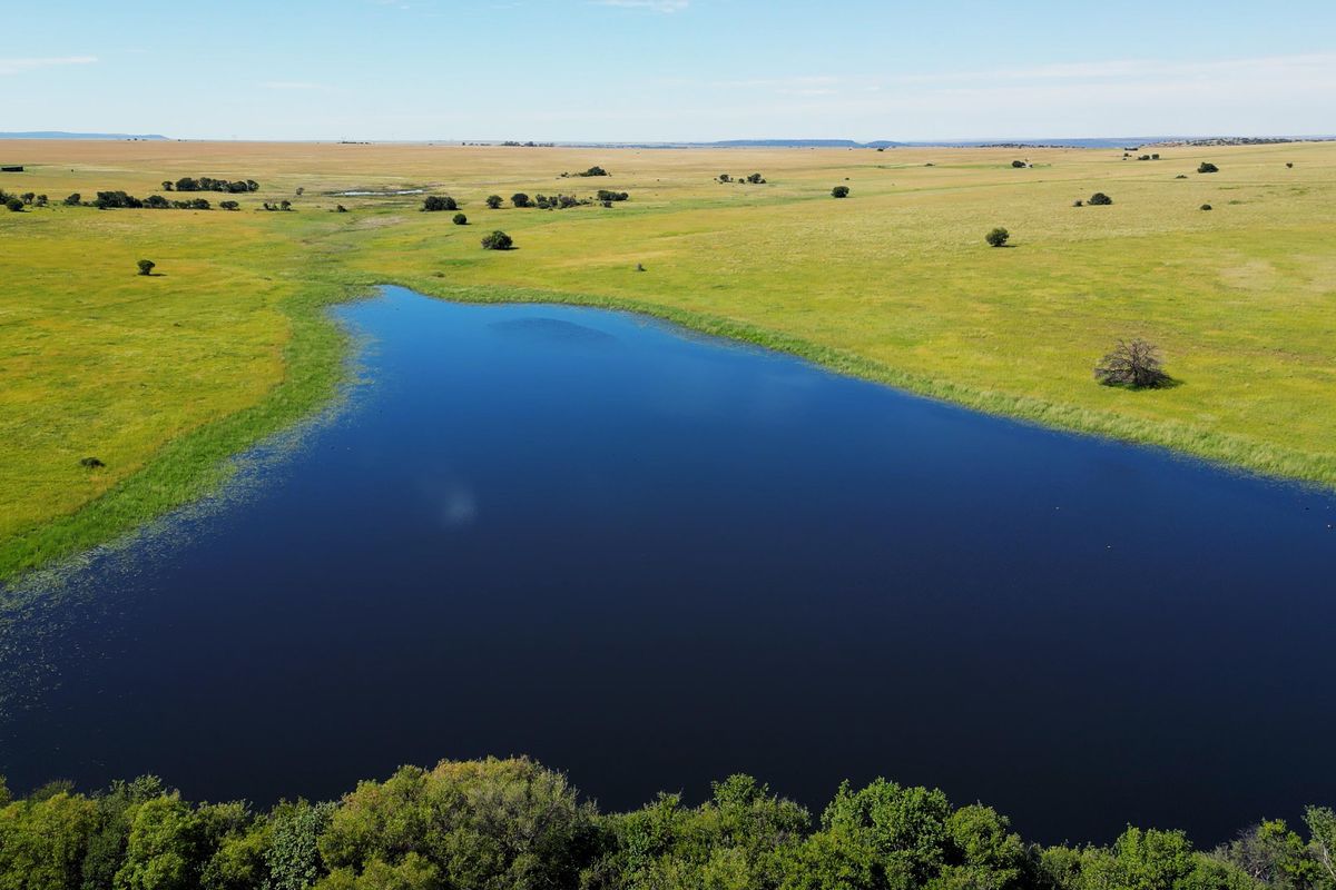 Uitstekende 2 312 ha Bees- En Wildboerdery-Eenheid Te Koop – Winburg / Ventersburg - Photo 4