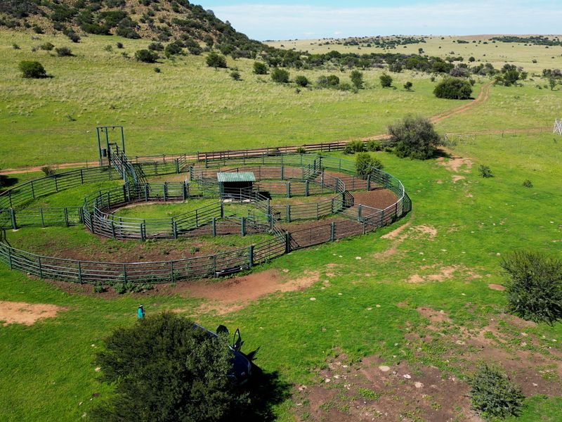 Uitstekende 2 312 ha Bees- En Wildboerdery-Eenheid Te Koop – Winburg / Ventersburg - Photo 2