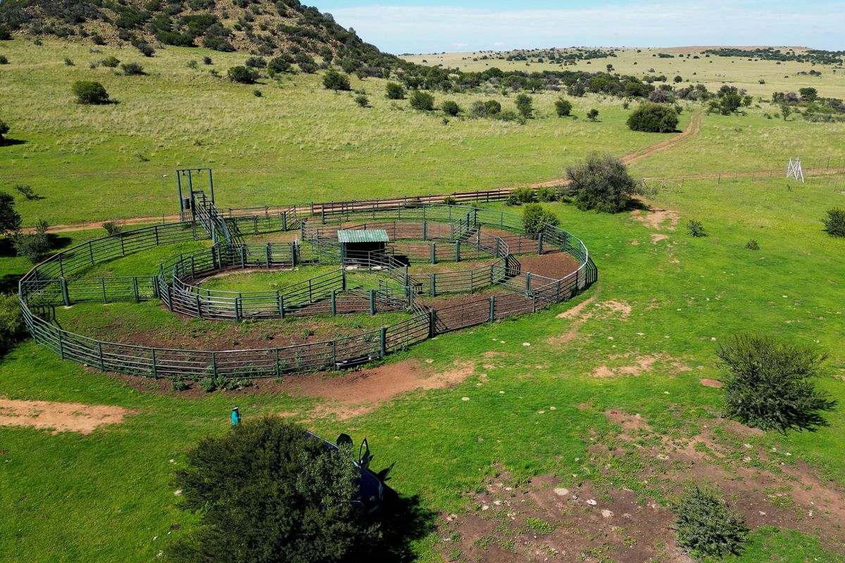 Uitstekende 2 312 ha Bees- En Wildboerdery-Eenheid Te Koop – Winburg / Ventersburg - Photo 2