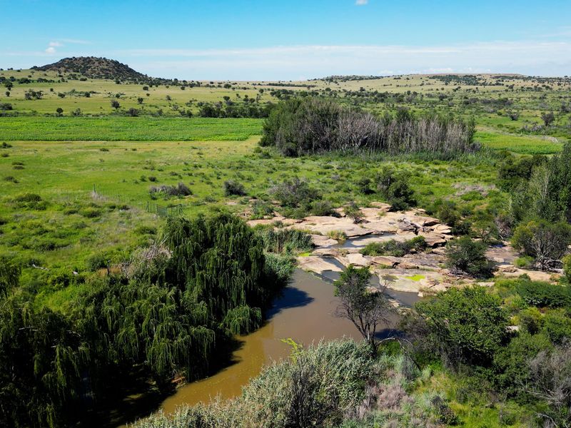 Uitstekende 2 312 ha Bees- En Wildboerdery-Eenheid Te Koop – Winburg / Ventersburg - Photo 6
