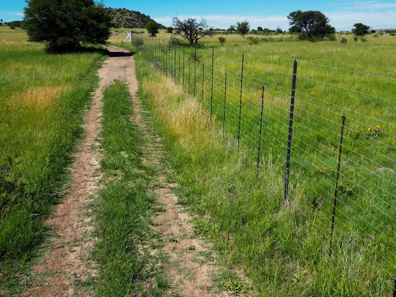 Uitstekende 2 312 ha Bees- En Wildboerdery-Eenheid Te Koop – Winburg / Ventersburg - Photo 8