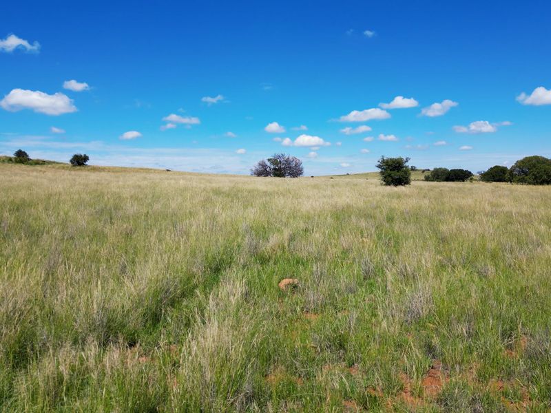 Uitstekende 2 312 ha Bees- En Wildboerdery-Eenheid Te Koop – Winburg / Ventersburg - Photo 9