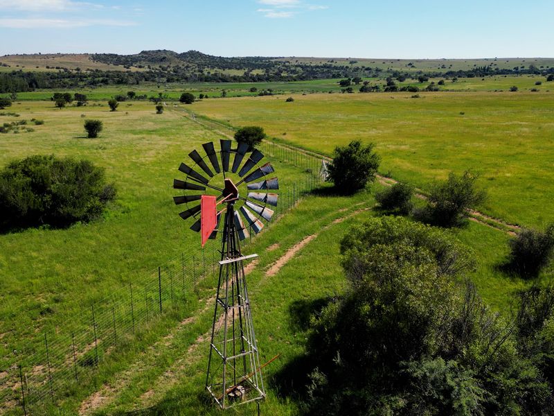 Uitstekende 2 312 ha Bees- En Wildboerdery-Eenheid Te Koop – Winburg / Ventersburg - Photo 5