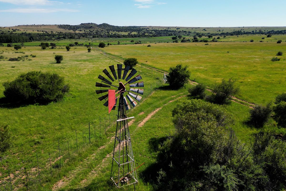 Uitstekende 2 312 ha Bees- En Wildboerdery-Eenheid Te Koop – Winburg / Ventersburg - Photo 5