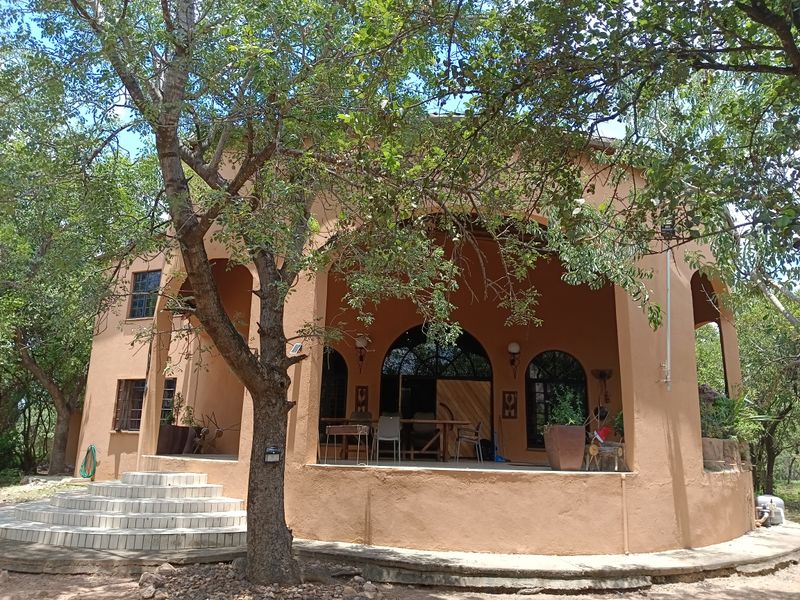 A rear view of the house featuring a spacious covered patio with arched architectural details, tiled steps, and mature surrounding trees.