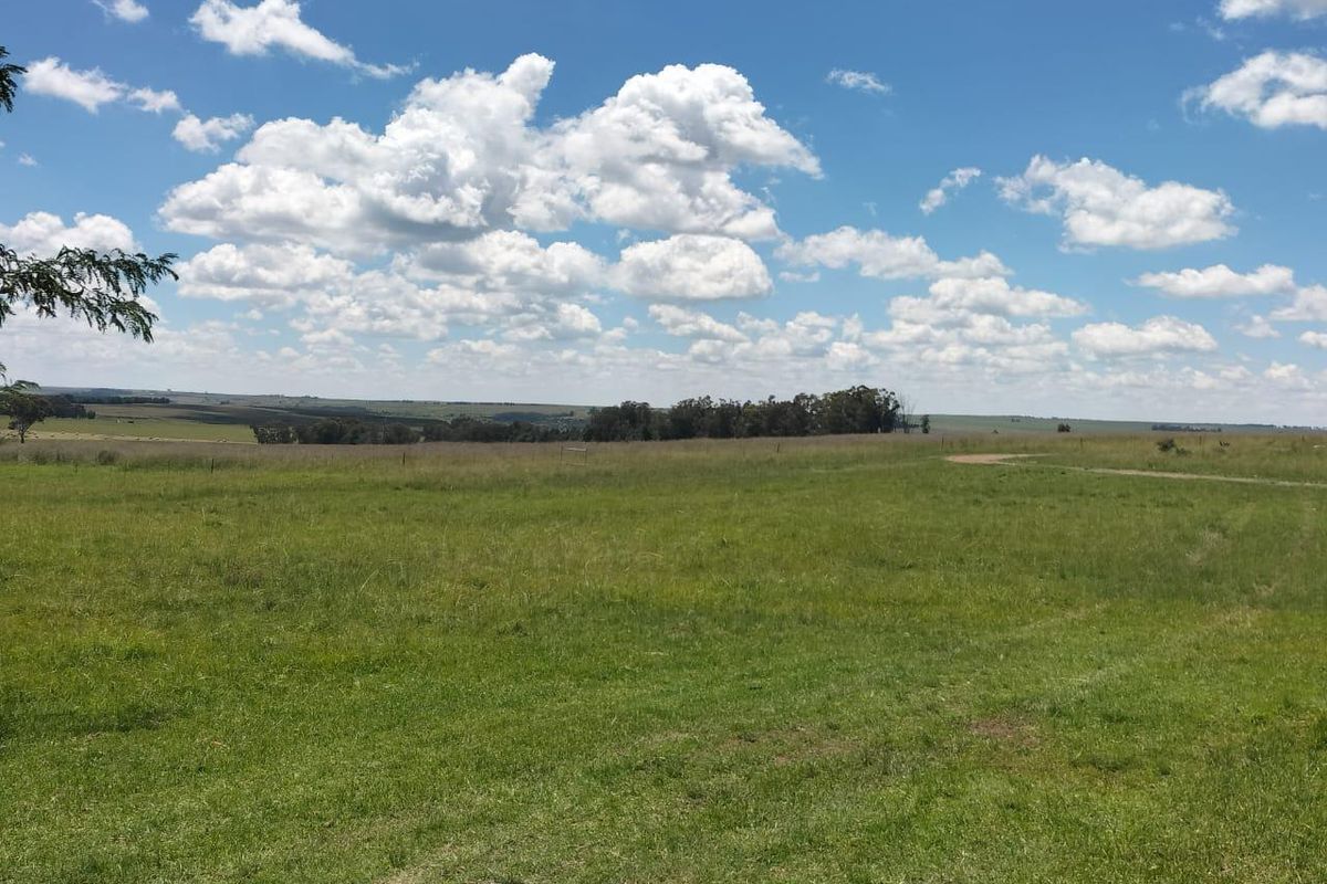 High potential mixed farm in Bethlehem - Photo 5