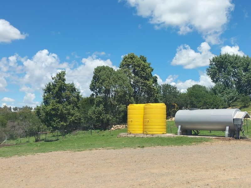 High potential mixed farm in Bethlehem - Photo 4