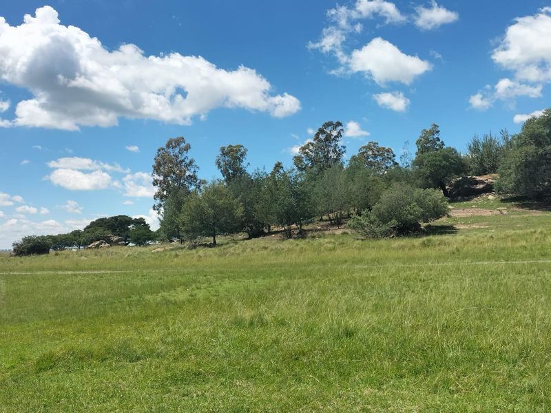 High potential mixed farm in Bethlehem - Photo 10