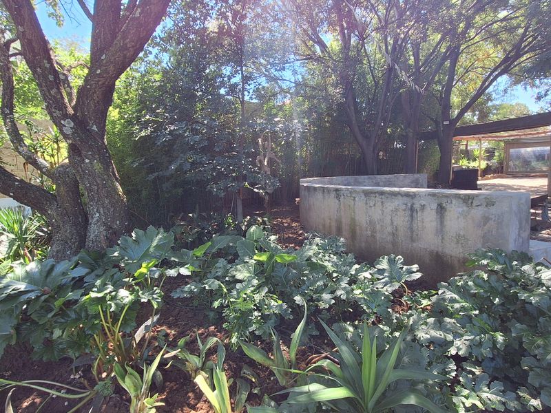 House with boma and workspace for sale - Photo 5