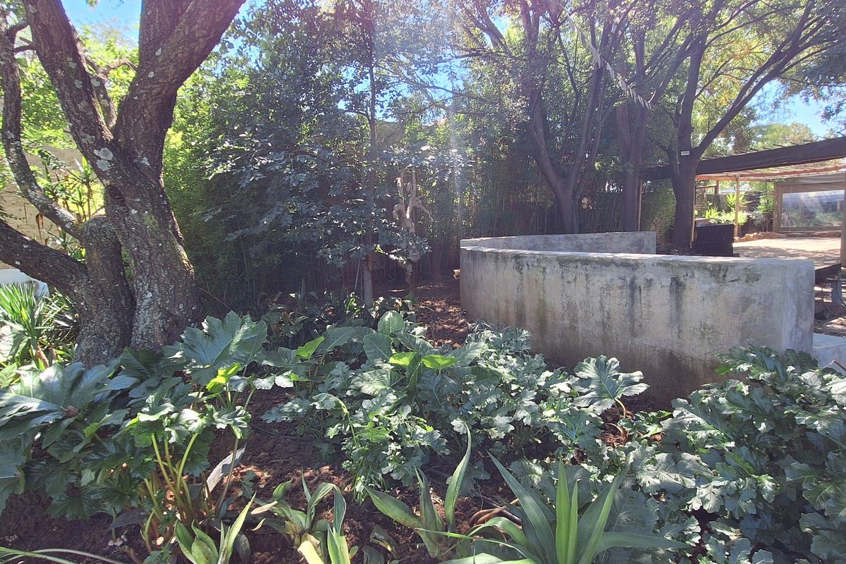 House with boma and workspace for sale - Photo 5