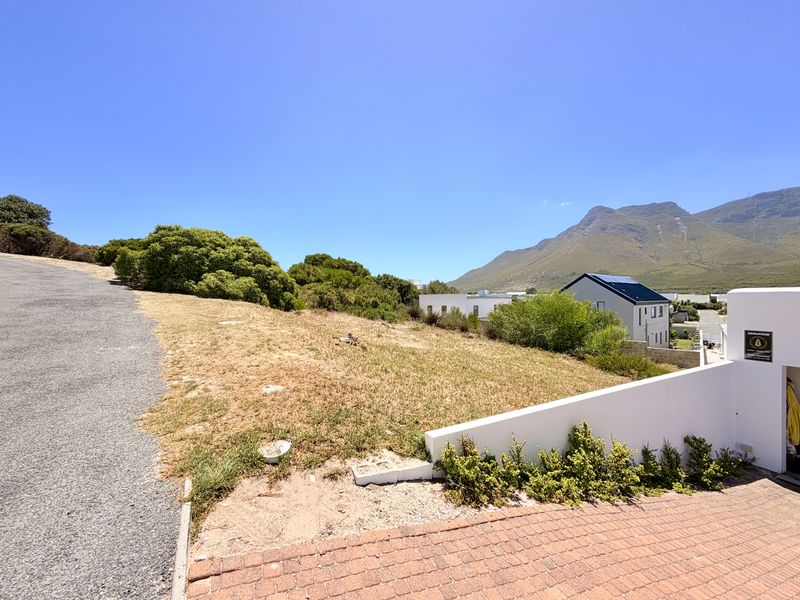 Elevated North-Facing Stand with Mountain Views in Vermont - Photo 8