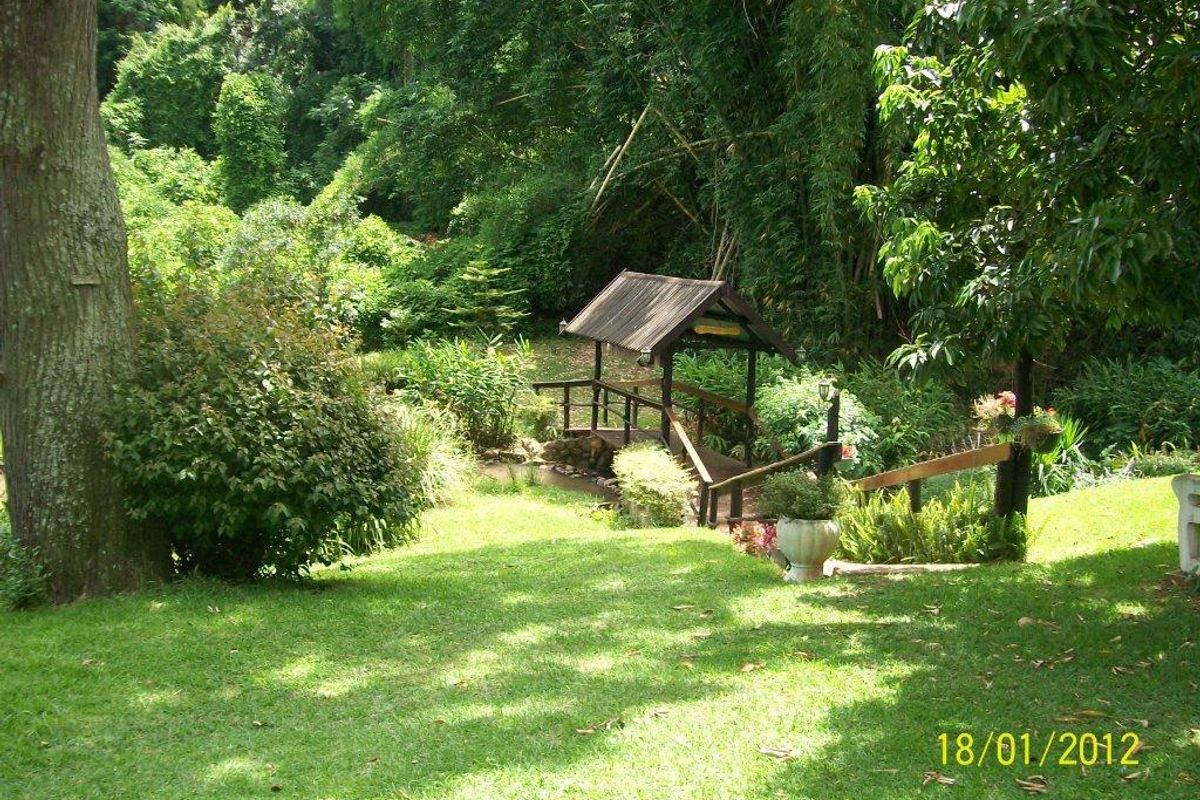 Clarendon - Flat to Let - All Inclusive - Photo 4