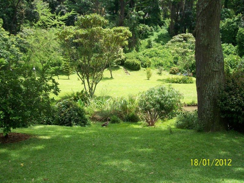 Clarendon - Flat to Let - All Inclusive - Photo 6